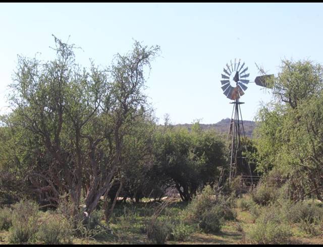 8,280HA FARM FOR SALE IN RICHMOND RURAL
